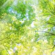 ヒメ日記 2026/05/02 09:02 投稿 すい 吉祥寺角海老