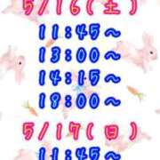 ヒメ日記 2026/05/15 12:59 投稿 すい 吉祥寺角海老