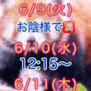 ヒメ日記 2026/06/08 13:46 投稿 すい 吉祥寺角海老
