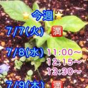ヒメ日記 2026/07/06 13:56 投稿 すい 吉祥寺角海老