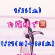 ヒメ日記 2026/09/25 11:36 投稿 すい 吉祥寺角海老