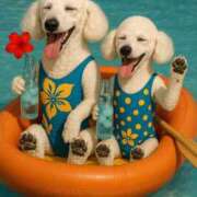 ヒメ日記 2025/08/11 10:55 投稿 麗華～れいか～ トレビの泉(城東町)