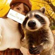 ヒメ日記 2025/11/17 12:38 投稿 麗華～れいか～ トレビの泉(城東町)