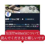 麗華～れいか～ X(旧Twitter)について🧊 トレビの泉(城東町)