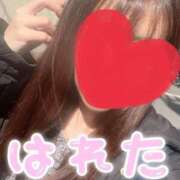 ヒメ日記 2025/03/09 08:33 投稿 のあ 西川口こんにちわいふ（シンデレラグループ）