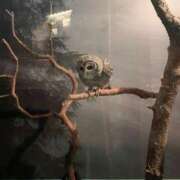 ヒメ日記 2025/05/02 17:39 投稿 のあ 西川口こんにちわいふ（シンデレラグループ）