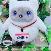 ヒメ日記 2026/03/22 08:08 投稿 のあ 西川口こんにちわいふ（シンデレラグループ）