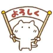 ヒメ日記 2026/06/13 09:03 投稿 三浦 真央 30代40代50代と遊ぶなら博多人妻専科24時
