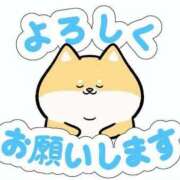 ヒメ日記 2026/06/30 11:30 投稿 三浦 真央 30代40代50代と遊ぶなら博多人妻専科24時