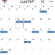 ヒメ日記 2025/06/01 11:55 投稿 くれは コルドンブルー