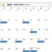 ヒメ日記 2025/09/18 14:25 投稿 くれは コルドンブルー