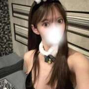 ヒメ日記 2025/11/23 08:35 投稿 くれは コルドンブルー