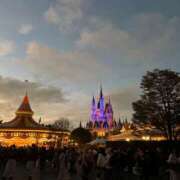 ヒメ日記 2025/11/25 10:53 投稿 くれは コルドンブルー