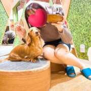 ヒメ日記 2024/12/11 02:24 投稿 牧野 熟女の風俗最終章 横浜本店