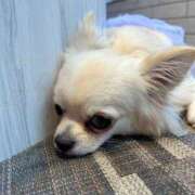 ヒメ日記 2025/02/09 13:24 投稿 牧野 熟女の風俗最終章 横浜本店