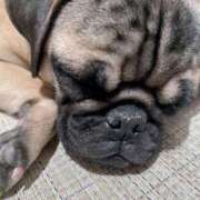 ヒメ日記 2025/03/18 23:44 投稿 牧野 熟女の風俗最終章 横浜本店