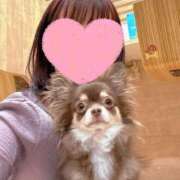 ヒメ日記 2025/04/26 00:17 投稿 牧野 熟女の風俗最終章 横浜本店