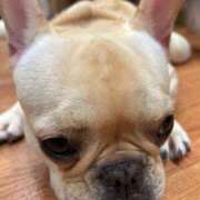 ヒメ日記 2025/04/27 00:24 投稿 牧野 熟女の風俗最終章 横浜本店