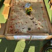 ヒメ日記 2025/06/29 22:24 投稿 牧野 熟女の風俗最終章 横浜本店