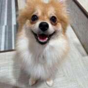 ヒメ日記 2025/07/29 11:17 投稿 牧野 熟女の風俗最終章 横浜本店