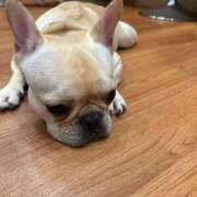 ヒメ日記 2025/07/31 00:05 投稿 牧野 熟女の風俗最終章 横浜本店