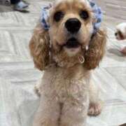 ヒメ日記 2025/08/29 20:38 投稿 牧野 熟女の風俗最終章 横浜本店