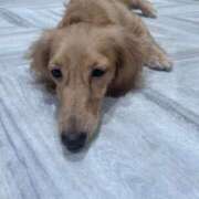 ヒメ日記 2025/08/30 23:44 投稿 牧野 熟女の風俗最終章 横浜本店