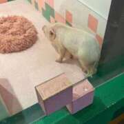 ヒメ日記 2025/10/02 18:14 投稿 牧野 熟女の風俗最終章 横浜本店