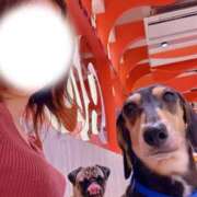 ヒメ日記 2025/10/29 17:14 投稿 牧野 熟女の風俗最終章 横浜本店