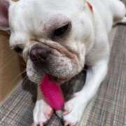 ヒメ日記 2025/11/02 18:12 投稿 牧野 熟女の風俗最終章 横浜本店