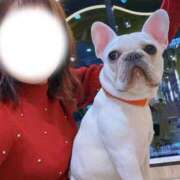 ヒメ日記 2025/11/07 14:54 投稿 牧野 熟女の風俗最終章 横浜本店