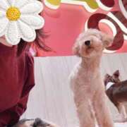 ヒメ日記 2025/11/30 20:33 投稿 牧野 熟女の風俗最終章 横浜本店