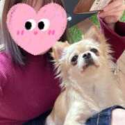 ヒメ日記 2026/01/24 19:57 投稿 牧野 熟女の風俗最終章 横浜本店