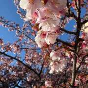 ヒメ日記 2026/02/04 22:09 投稿 牧野 熟女の風俗最終章 横浜本店