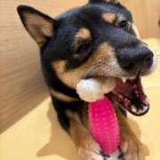 ヒメ日記 2026/02/07 19:14 投稿 牧野 熟女の風俗最終章 横浜本店