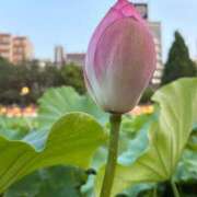 ヒメ日記 2026/07/23 19:24 投稿 牧野 熟女の風俗最終章 横浜本店