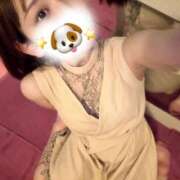 ヒメ日記 2025/09/28 12:23 投稿 はな 男爵