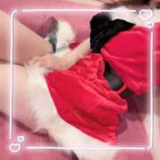 はな 🌸どきどき、わくわく 男爵