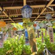 ヒメ日記 2025/07/26 16:17 投稿 愛川 こころ Canx2京都店