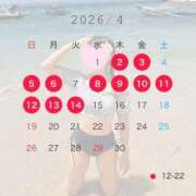 愛川 こころ 4月前半予定🐰🤍 Canx2京都店