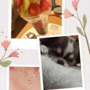 坂根まりな ワンワン🐕✨ THE痴漢電車.com