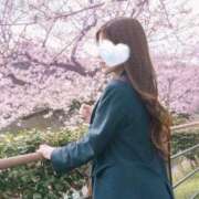 ヒメ日記 2025/04/15 00:04 投稿 Marina CELEB（セレブ）