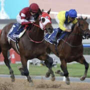 ヒメ日記 2024/12/29 16:14 投稿 城崎あおば YESグループ水戸　華女