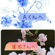 ヒメ日記 2025/03/30 16:34 投稿 城崎あおば YESグループ水戸　華女