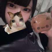 ヒメ日記 2025/08/18 03:32 投稿 ゆい 君とふわふわプリンセスin川越