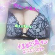 ヒメ日記 2025/02/27 13:19 投稿 吉川 鶯谷デッドボール