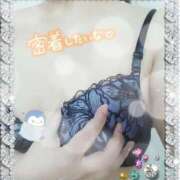 ヒメ日記 2025/03/19 13:19 投稿 吉川 鶯谷デッドボール