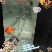 ヒメ日記 2025/07/12 13:42 投稿 吉川 鶯谷デッドボール