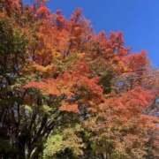 ヒメ日記 2024/12/06 19:31 投稿 さな 横浜熟女MAX