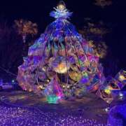 ヒメ日記 2025/01/31 06:55 投稿 さな 横浜熟女MAX